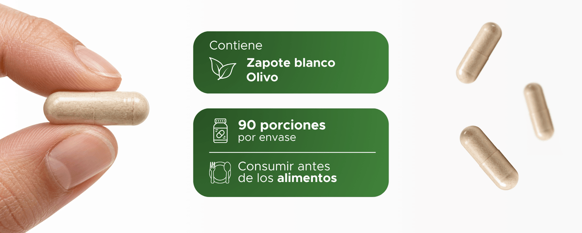 Casiol | Zapote Blanco y Olivo en extracto seco | 500 mg · 90 caps