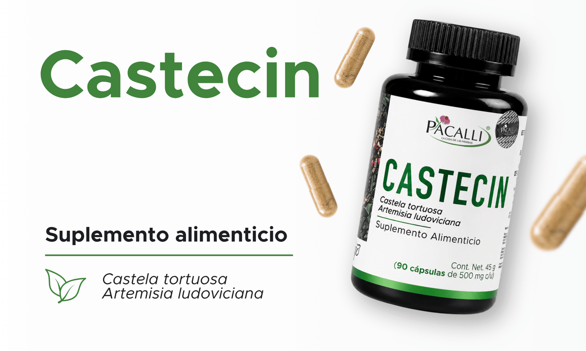 Castecin | Chaparro Amargo, Estafiate y Quina Roja | 500 mg · 90 caps