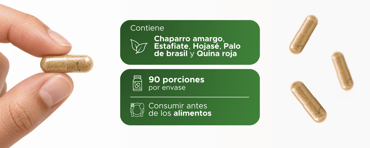 Castecin | Chaparro Amargo, Estafiate y Quina Roja | 500 mg · 90 caps