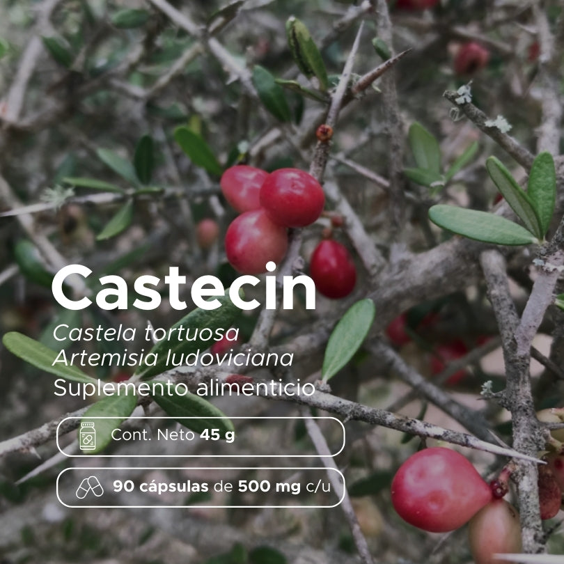 Castecin · 90 caps