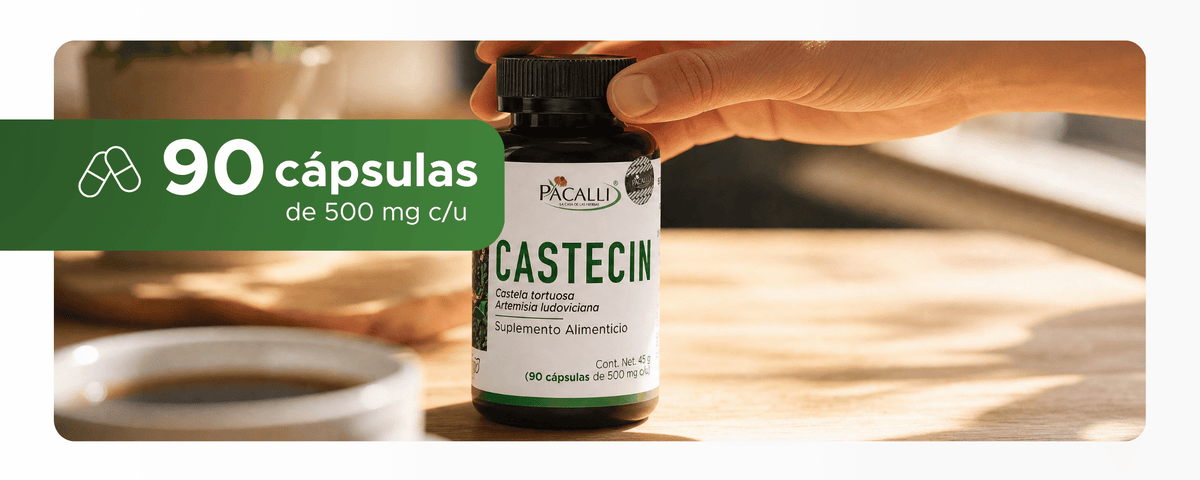 Castecin | Chaparro Amargo, Estafiate y Quina Roja | 500 mg · 90 caps