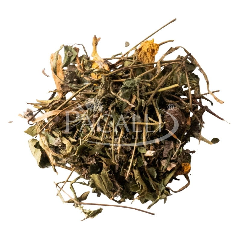 Cecropia · 100 g