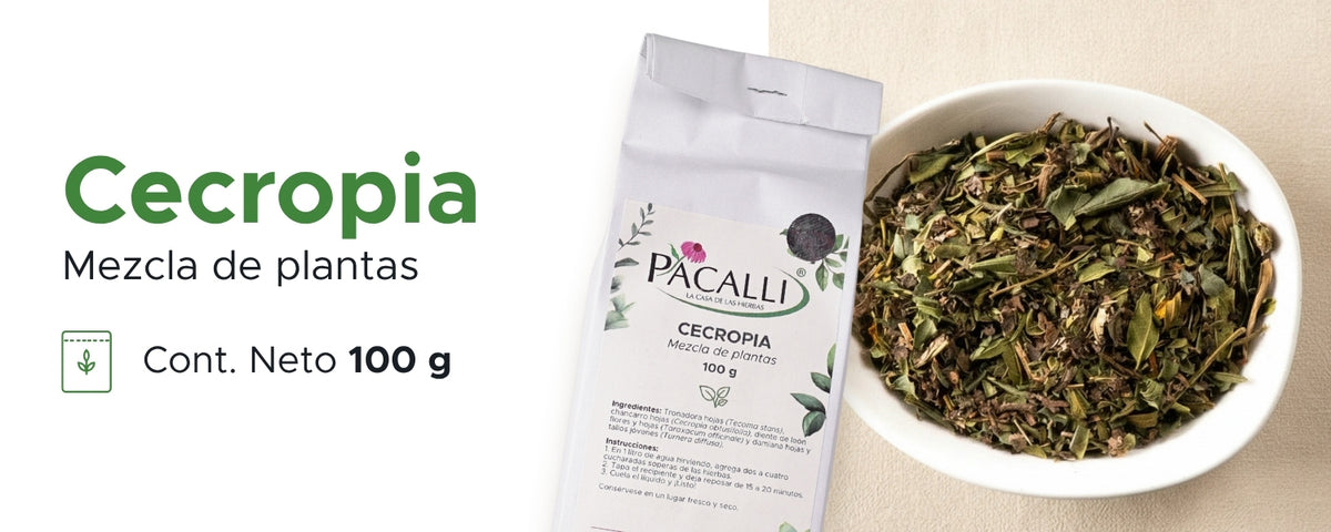 Cecropia · 100 g