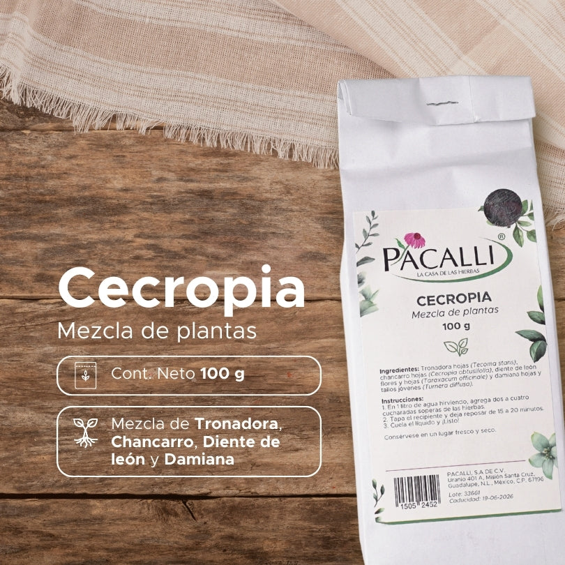 Cecropia · 100 g