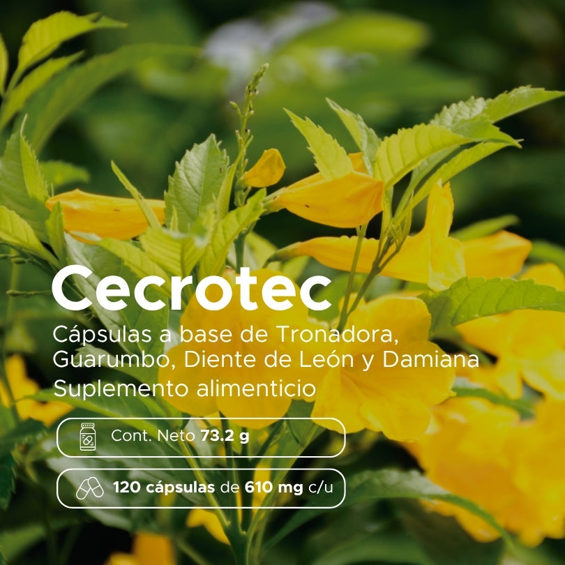 Cecrotec · 120 caps