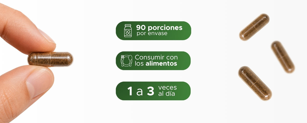 Comino Negro | Nigella sativa | 600 mg · 90 caps