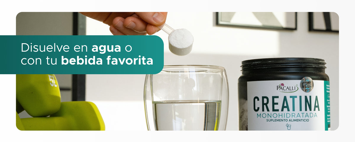 Creatina Monohidratada · 300 g