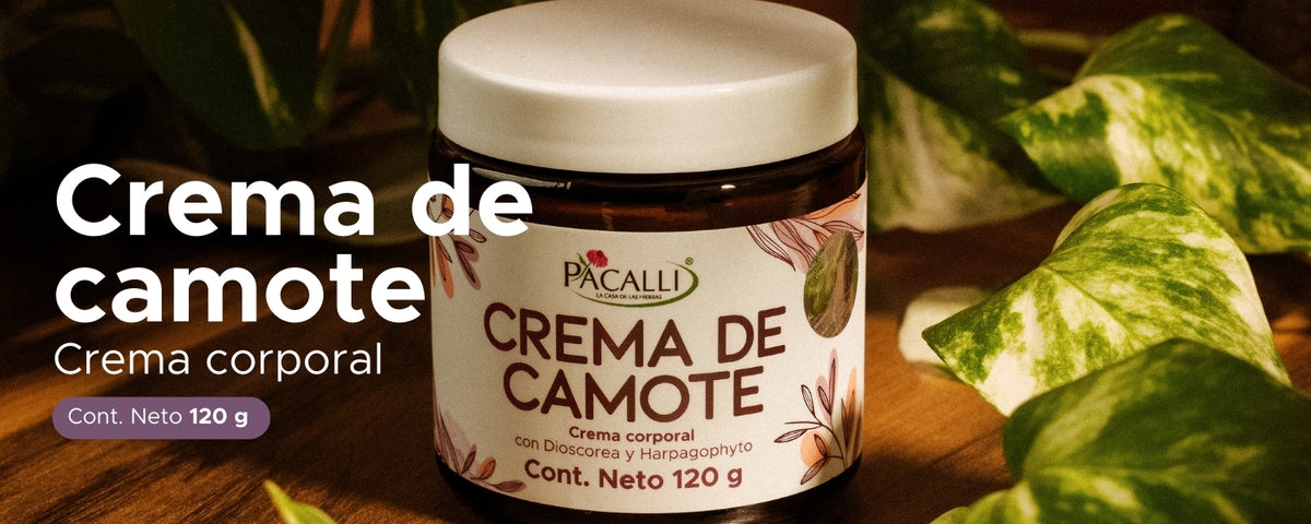 Crema de Camote PACALLI · Crema Muscular con Dioscorea y Harpagophyto · 120 g