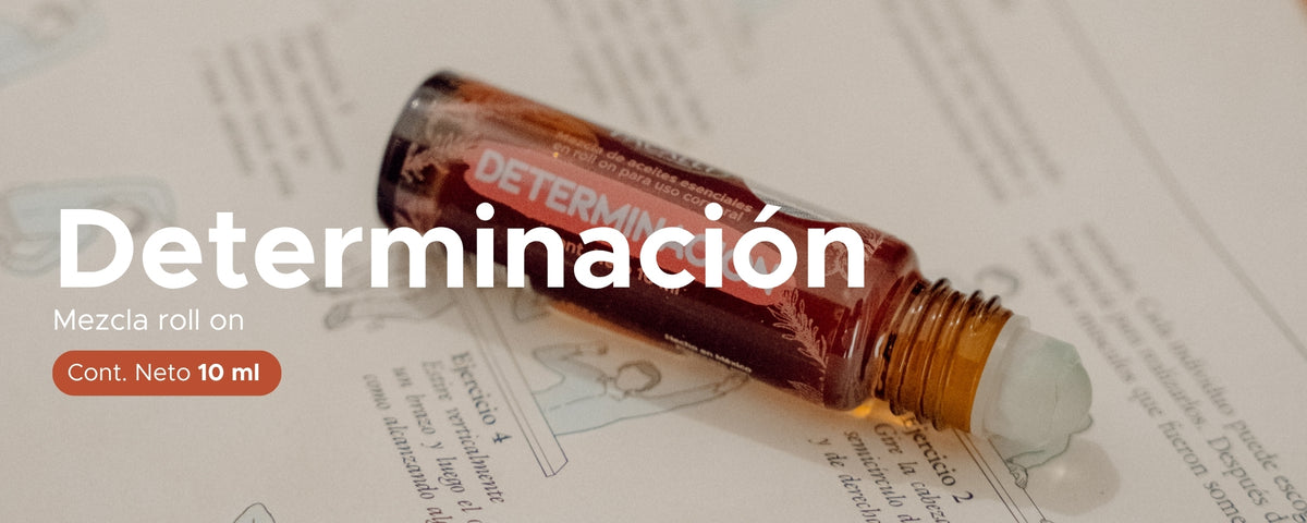 Determinación Roll On PACALLI · Romero, Pino y Limón · 10 ml