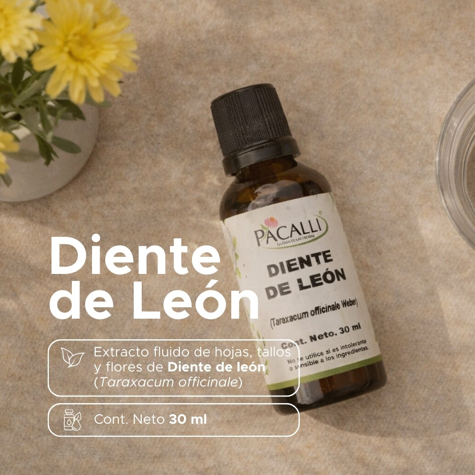 Diente de León Extracto · 30 ml