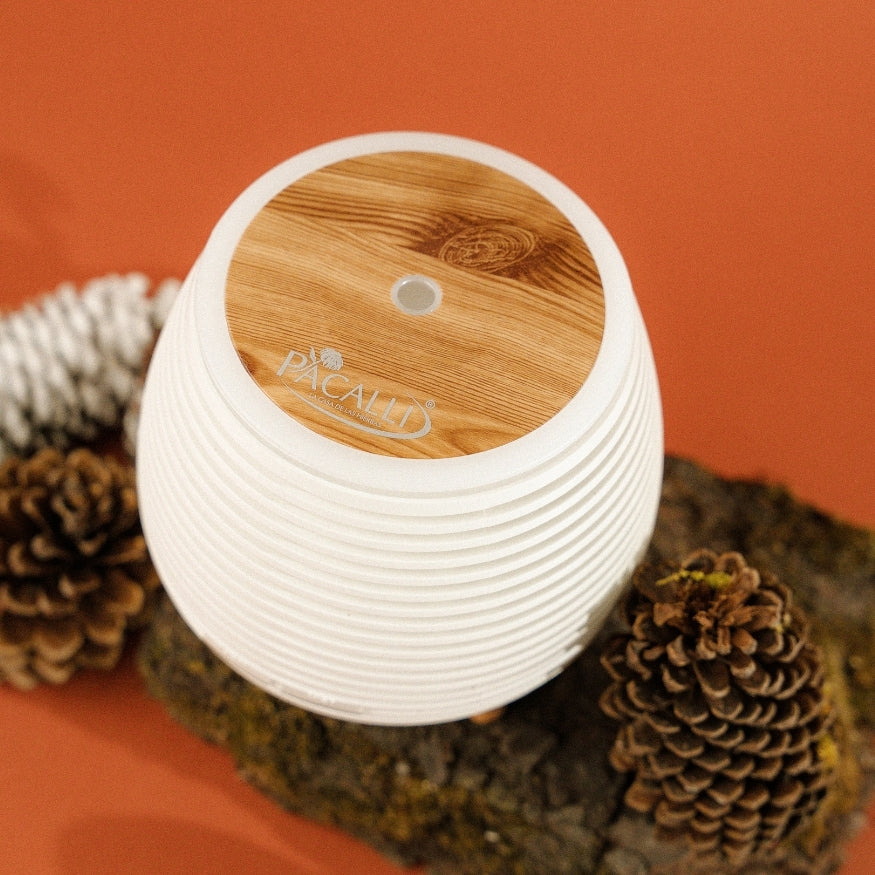 Difusor Deco PACALLI · Portátil y Silencioso con Luz LED Regulable · 140 ml