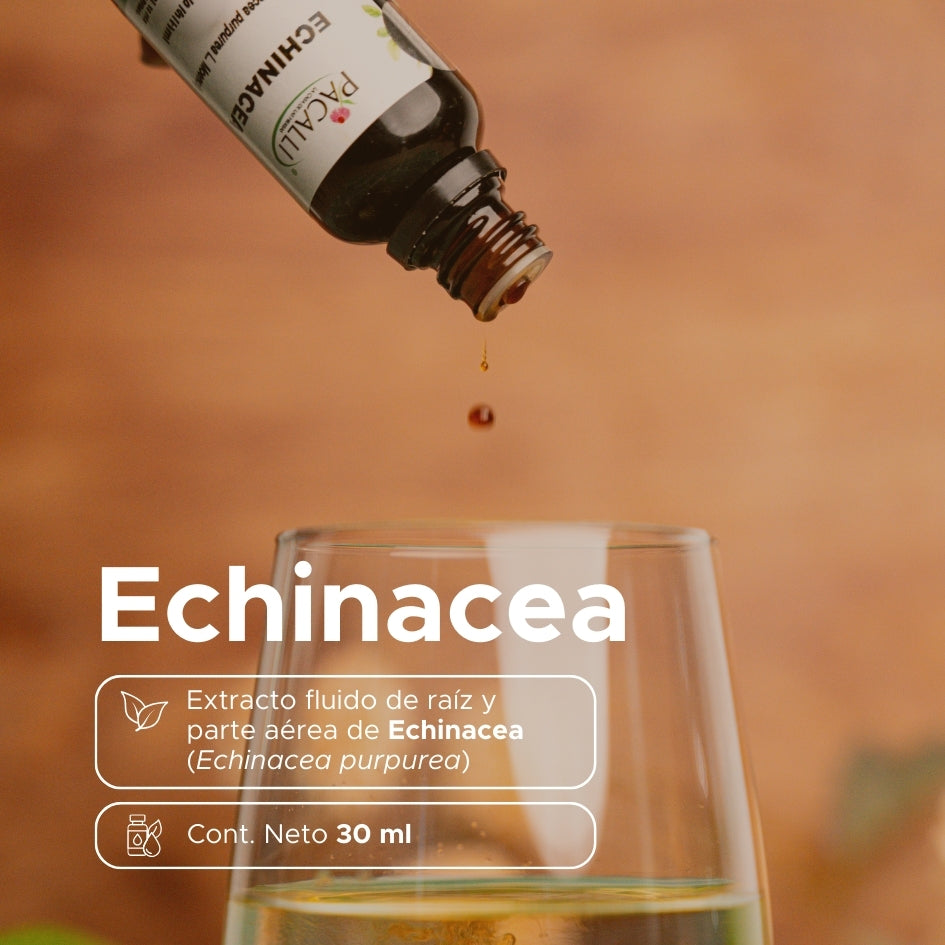Echinacea Extracto · 30 ml