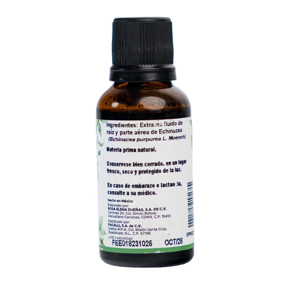 Echinacea Extracto · 30 ml