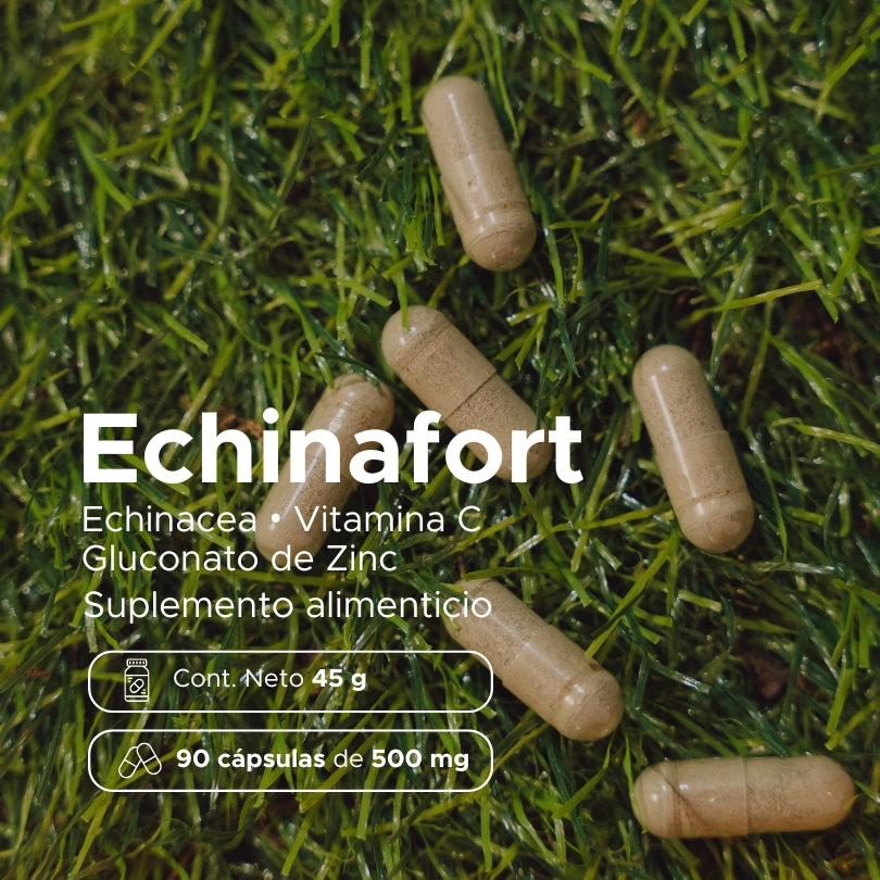 Echinafort · 90 caps