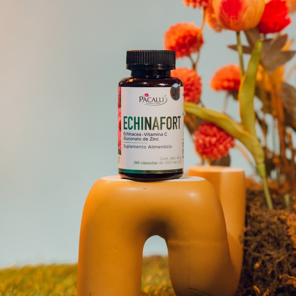 Echinafort · 90 caps