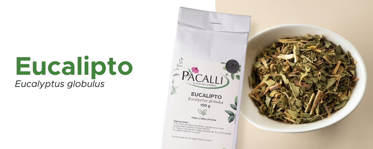 Eucalipto · 100 g