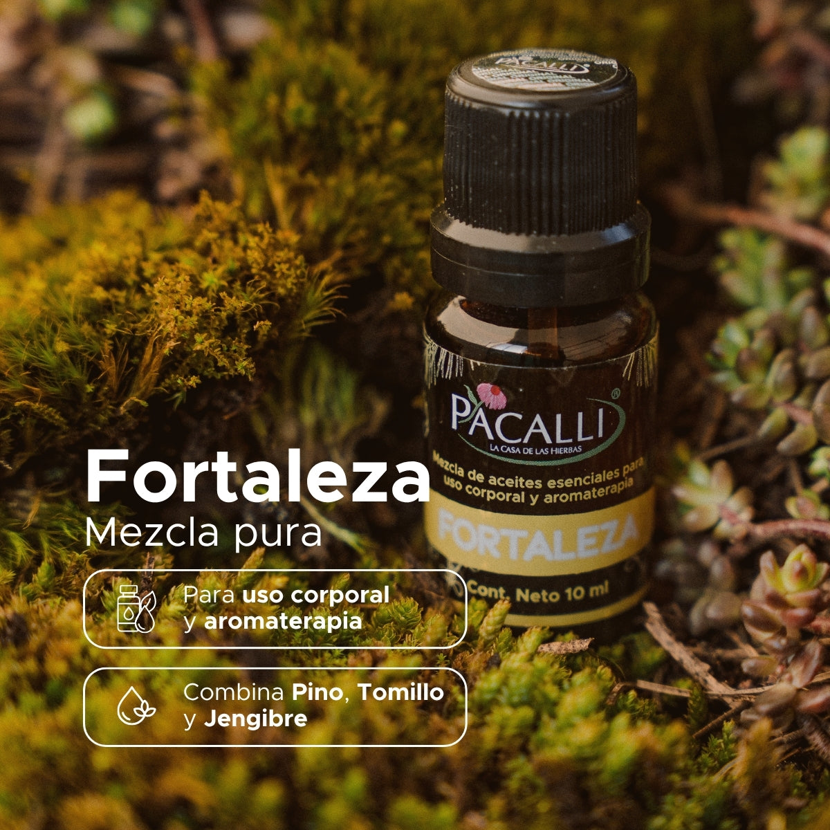 Fortaleza Mezcla Pura · Pino, Tomillo y Jengibre · 10 ml