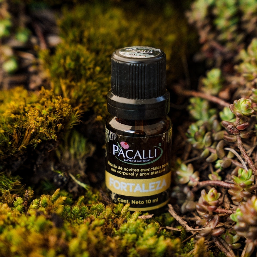 Fortaleza Mezcla Pura PACALLI · Pino, Tomillo y Jengibre · 10 ml