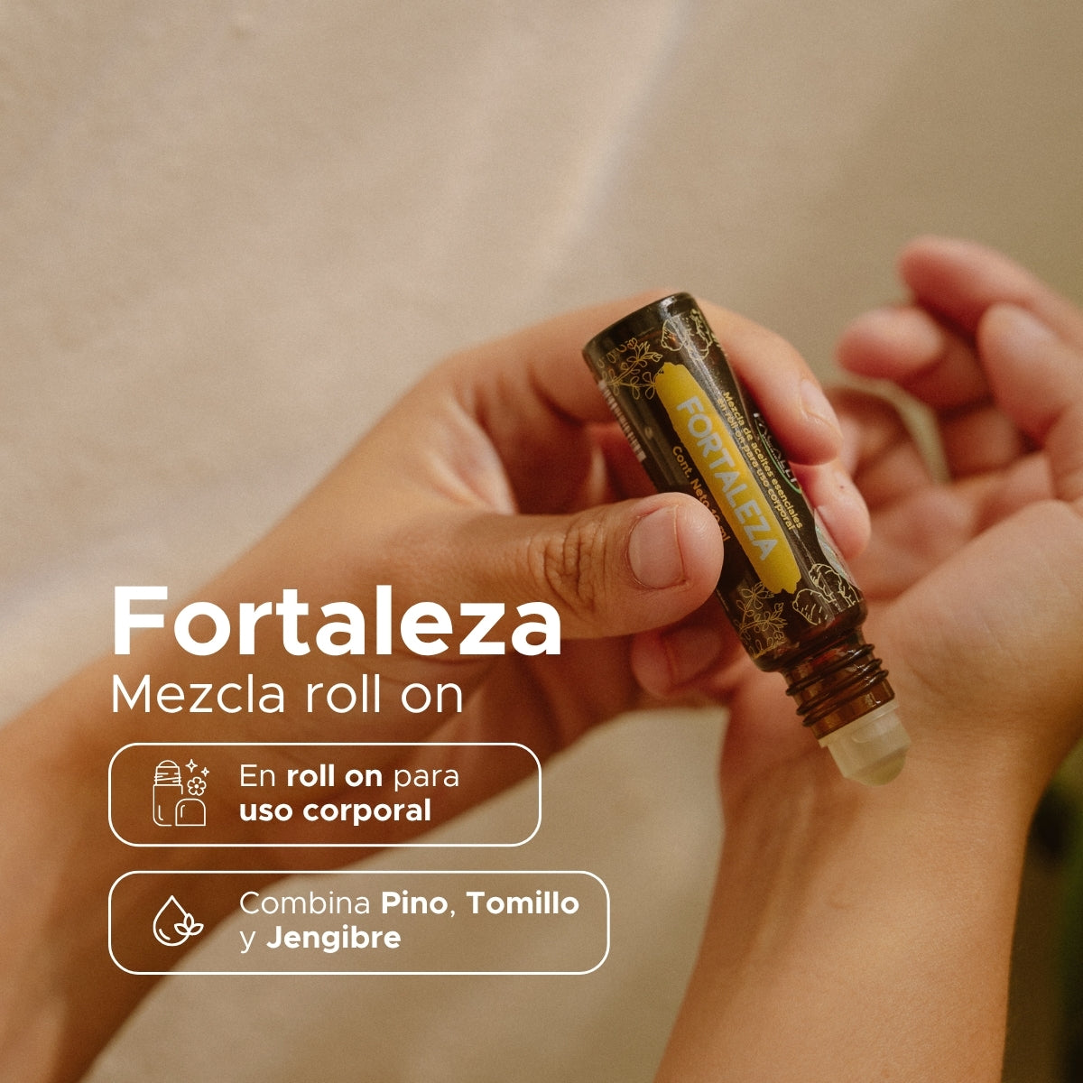 Fortaleza Roll On · Pino, Tomillo y Jengibre · 10 ml