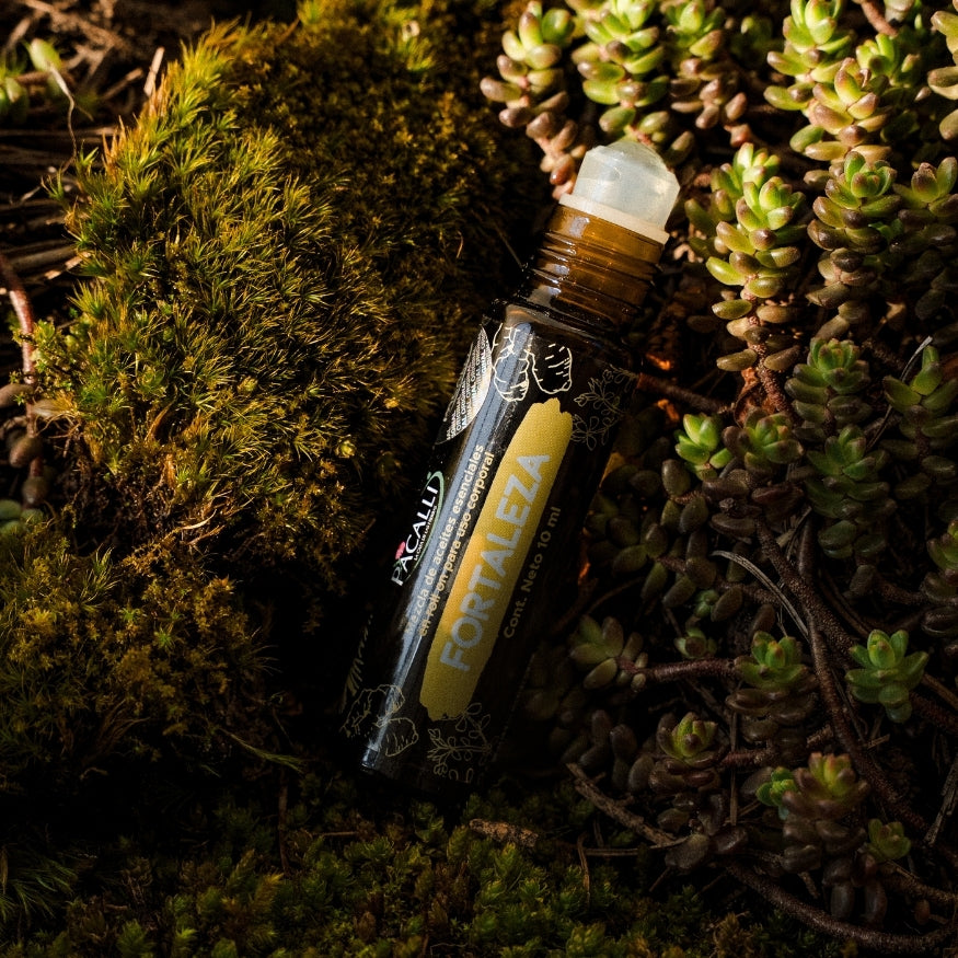 Fortaleza Roll On PACALLI · Pino, Tomillo y Jengibre · 10 ml