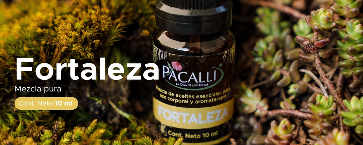 Fortaleza Mezcla Pura PACALLI · Pino, Tomillo y Jengibre · 10 ml