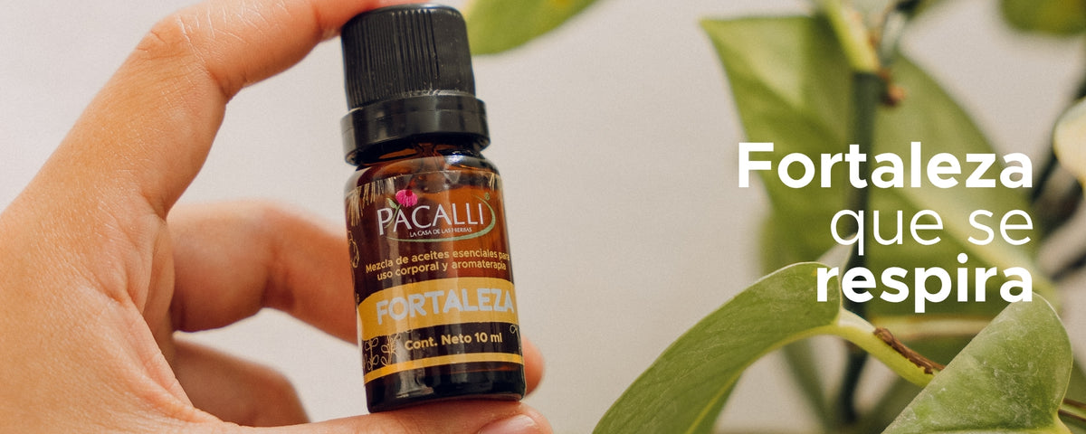 Fortaleza Mezcla Pura PACALLI · Pino, Tomillo y Jengibre · 10 ml