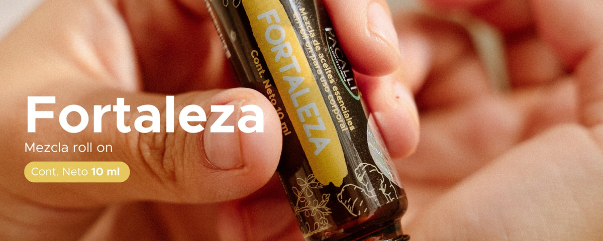 Fortaleza Roll On PACALLI · Pino, Tomillo y Jengibre · 10 ml