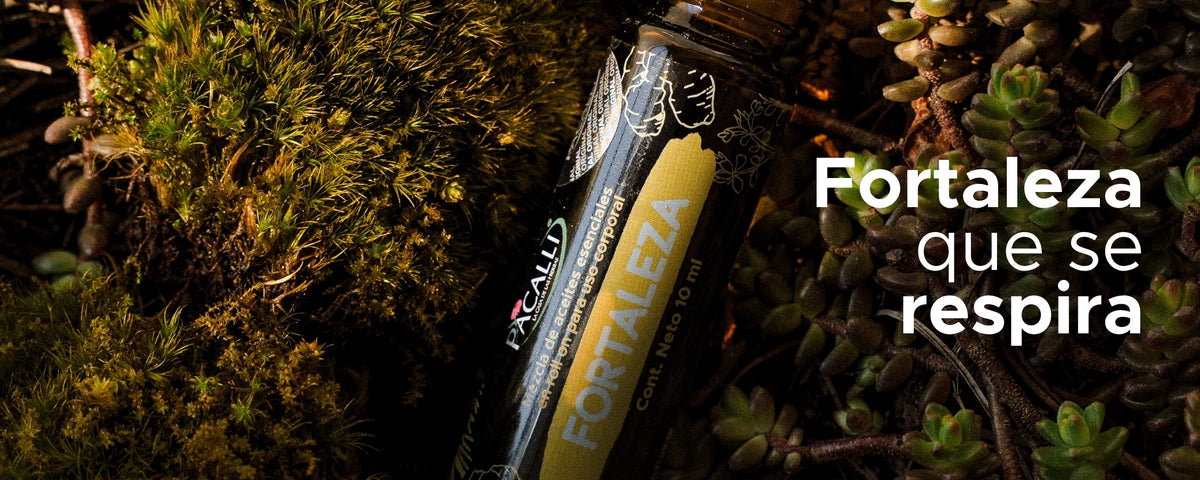 Fortaleza Roll On PACALLI · Pino, Tomillo y Jengibre · 10 ml