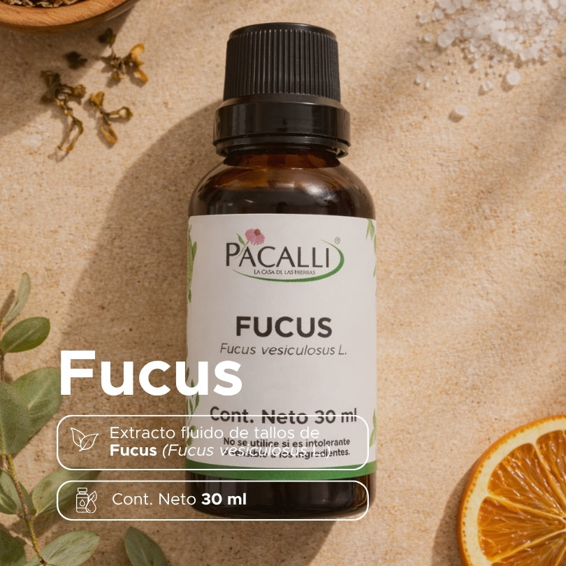 Fucus Extracto · 30 ml
