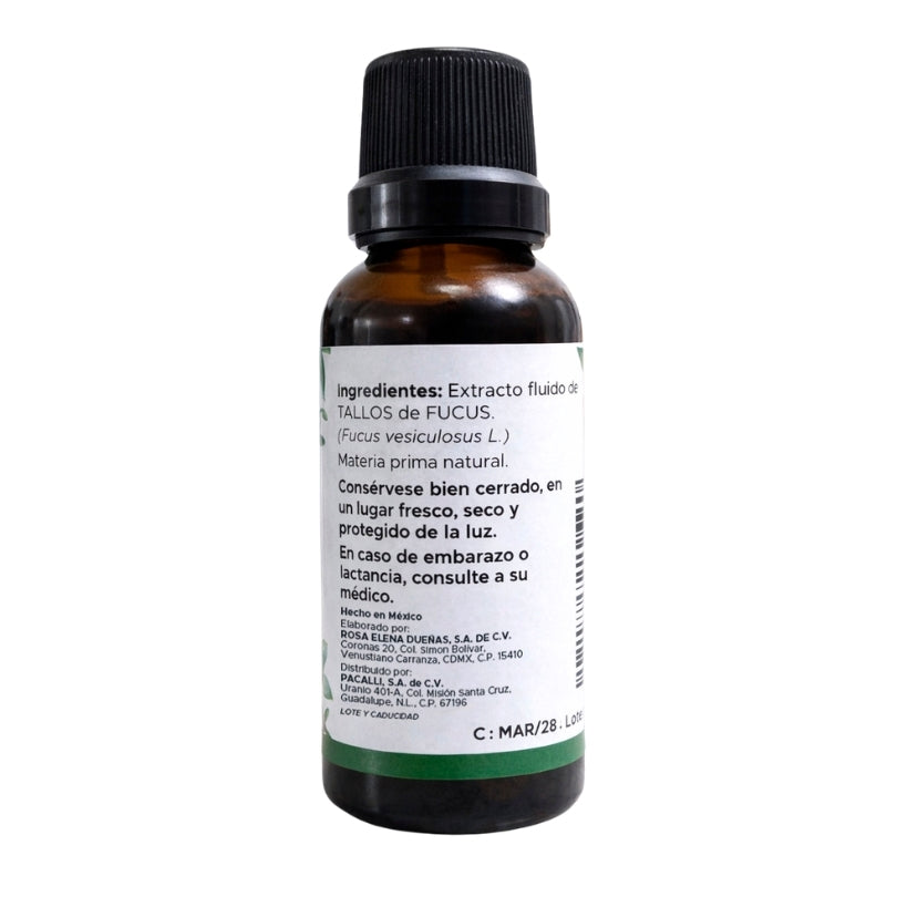 Fucus Extracto · 30 ml