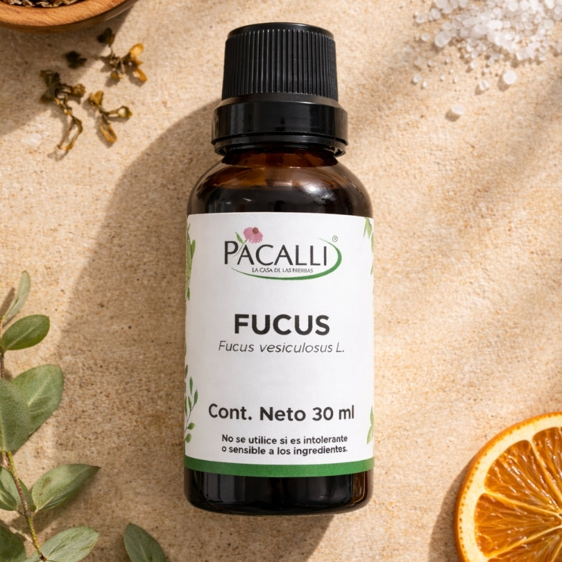 Fucus Extracto · 30 ml