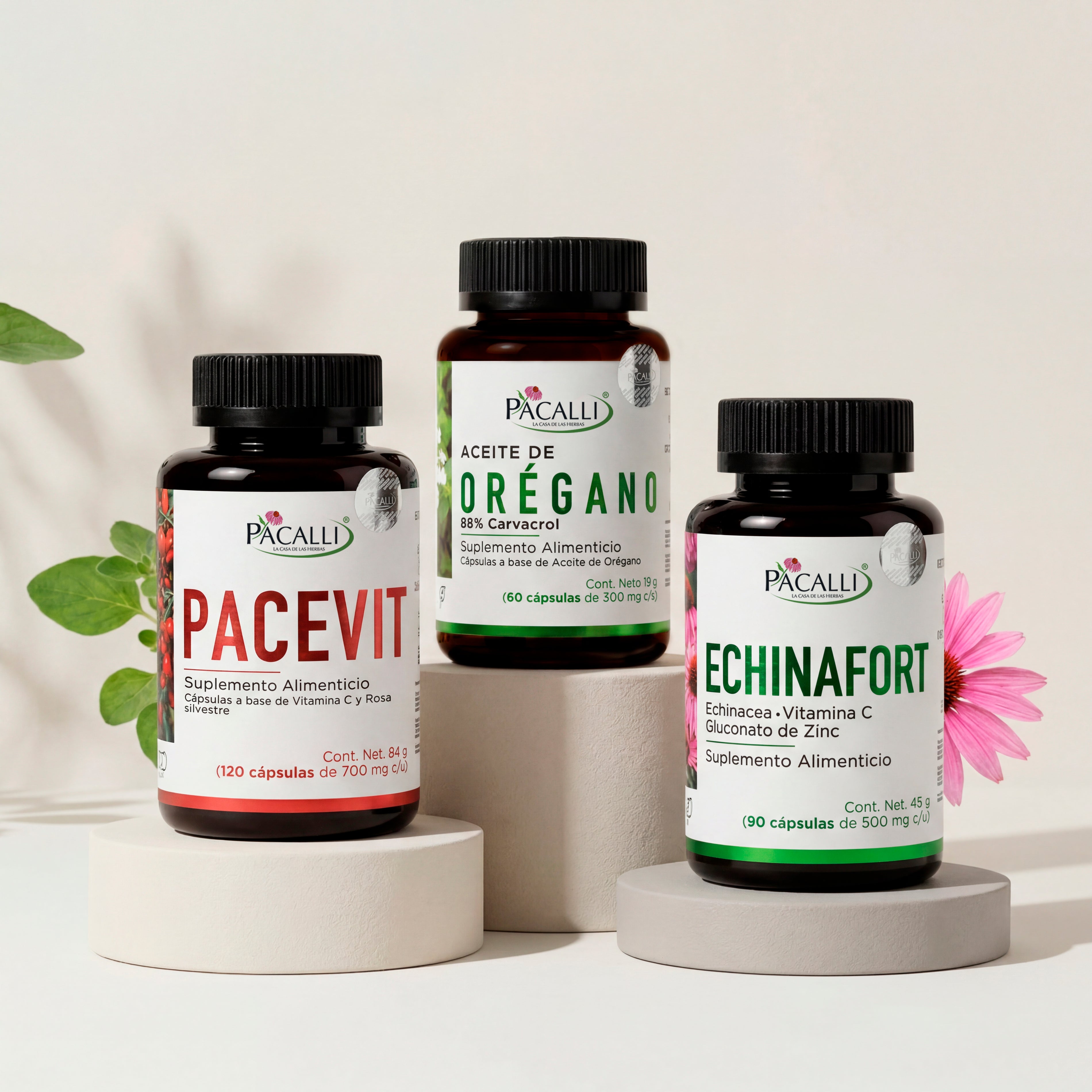 Rutina de bienestar para Papá · Colección día del Padre PACALLI