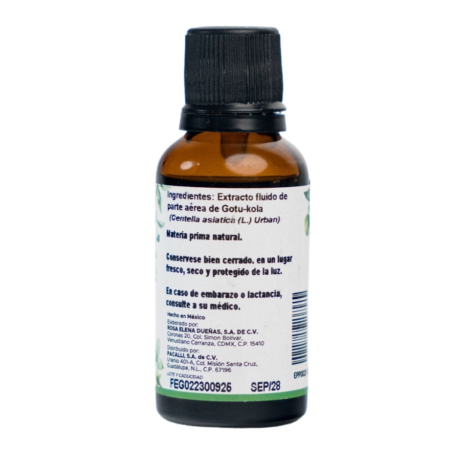 Gotu Kola Extracto · 30 ml