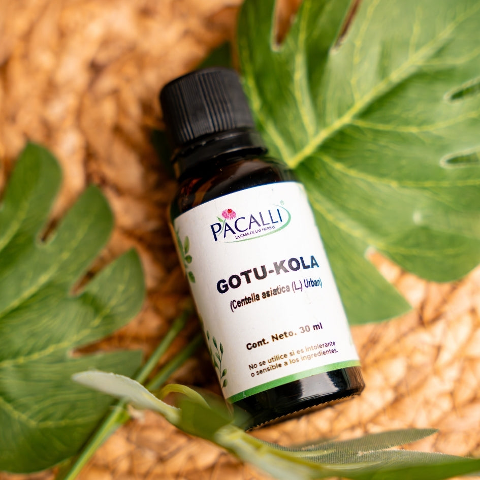Gotu Kola Extracto · 30 ml