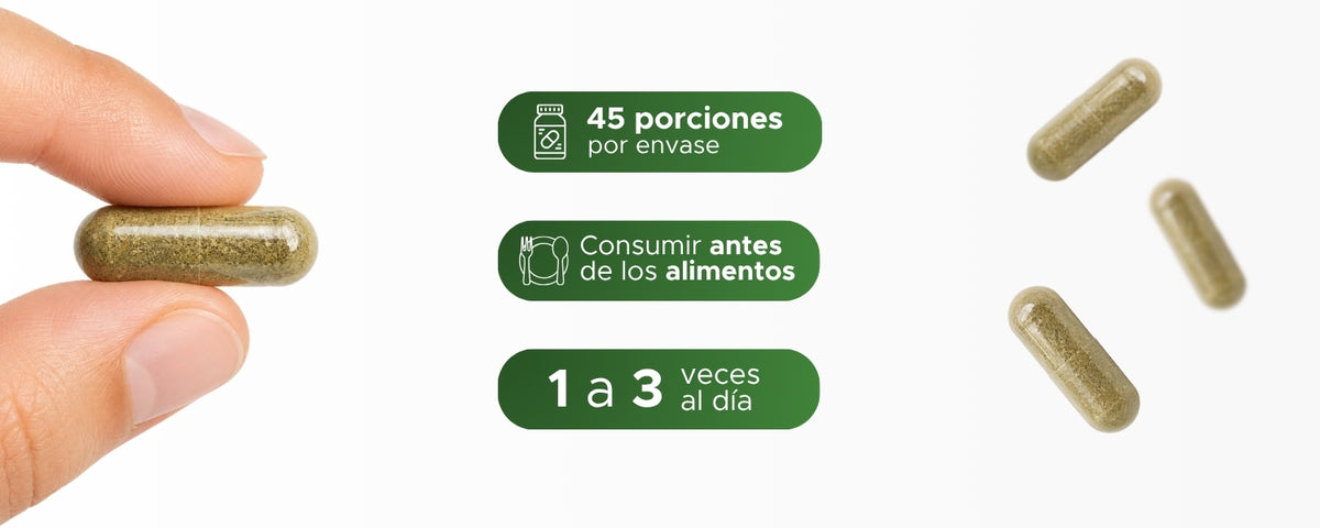 Guanábana | Hoja en polvo | 450 mg · 90 Caps