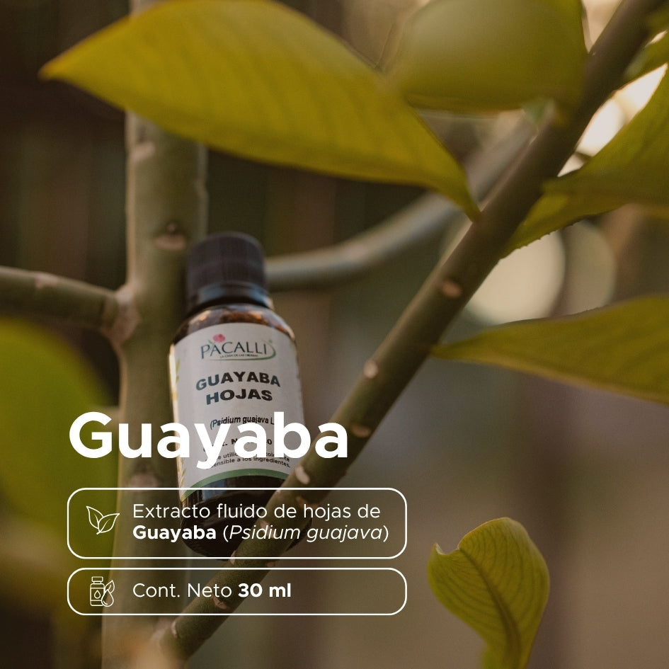 Guayaba Hojas Extracto · 30 ml