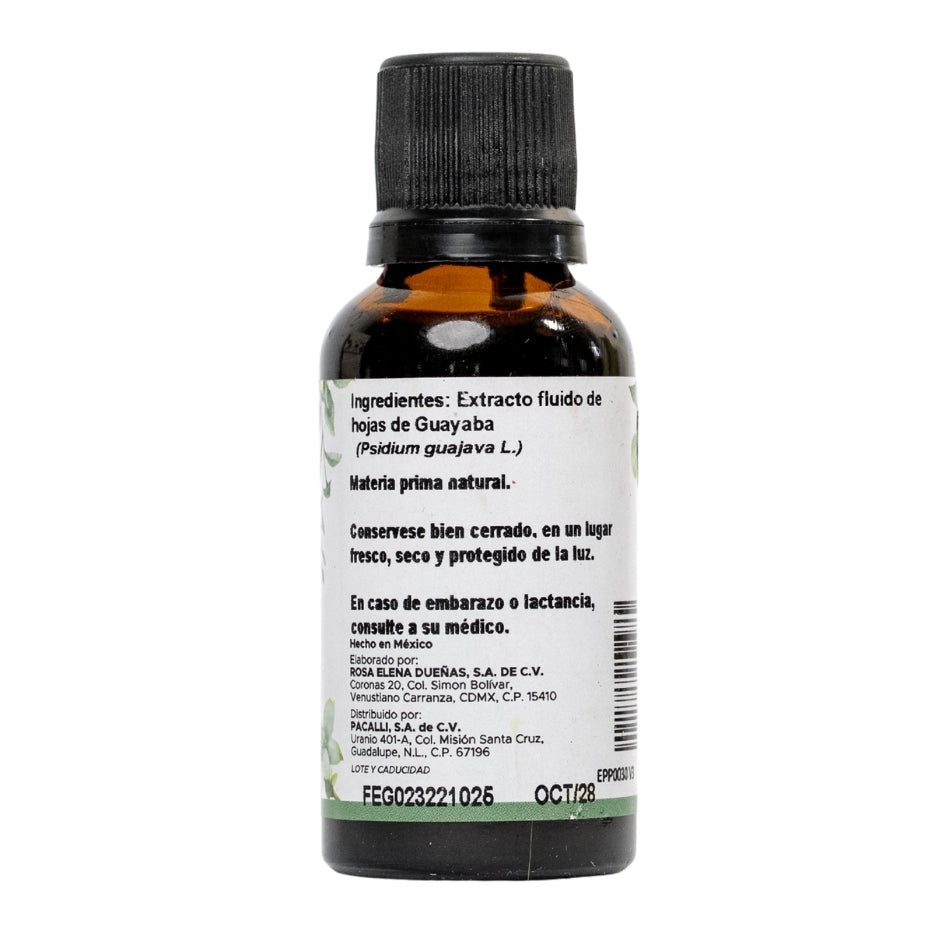 Guayaba Hojas Extracto · 30 ml