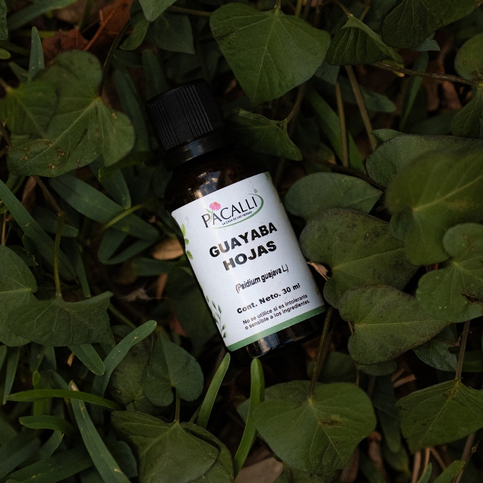 Guayaba Hojas Extracto · 30 ml