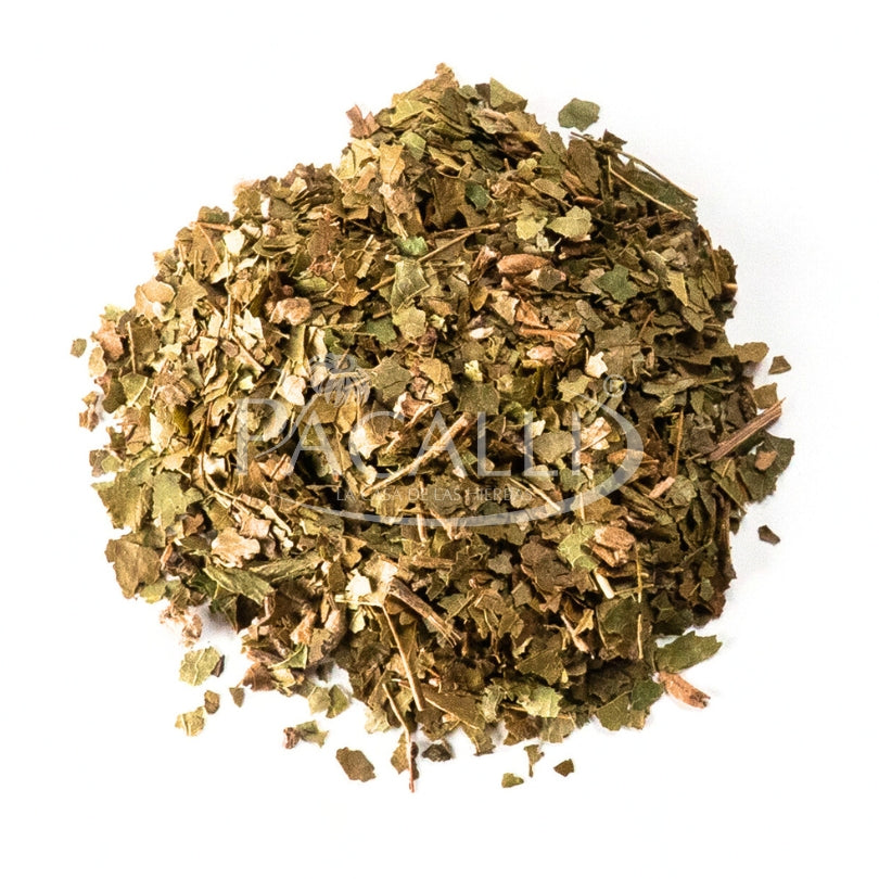 Hamamelis · 50 g