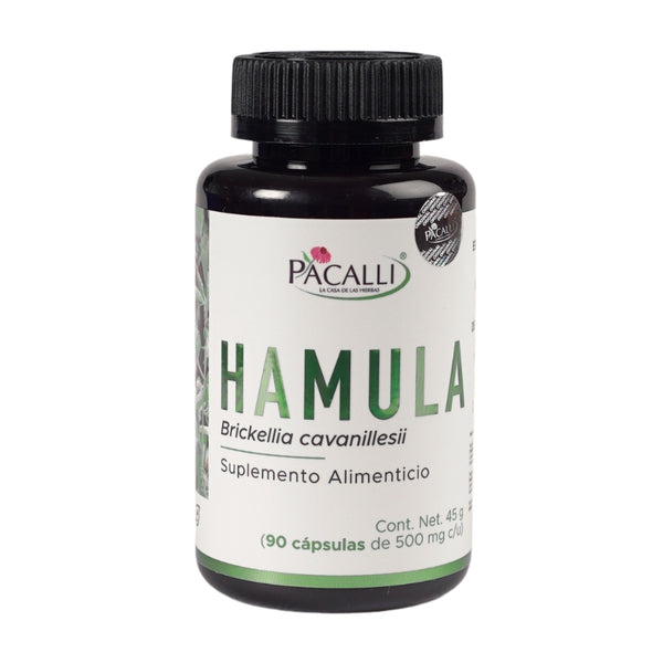 Hamula · 90 caps – Pacalli