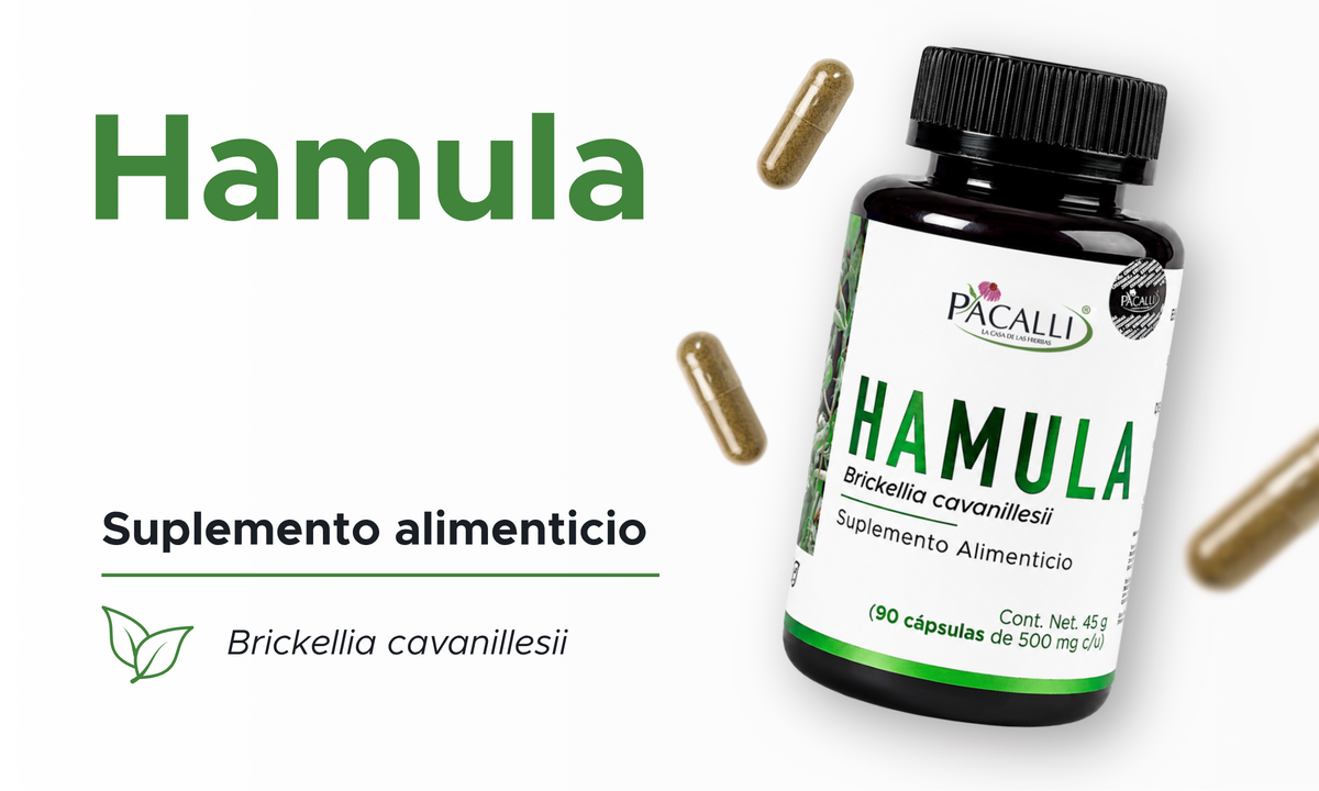 Hamula | Prodigiosa en extracto seco | 500 mg · 90 caps