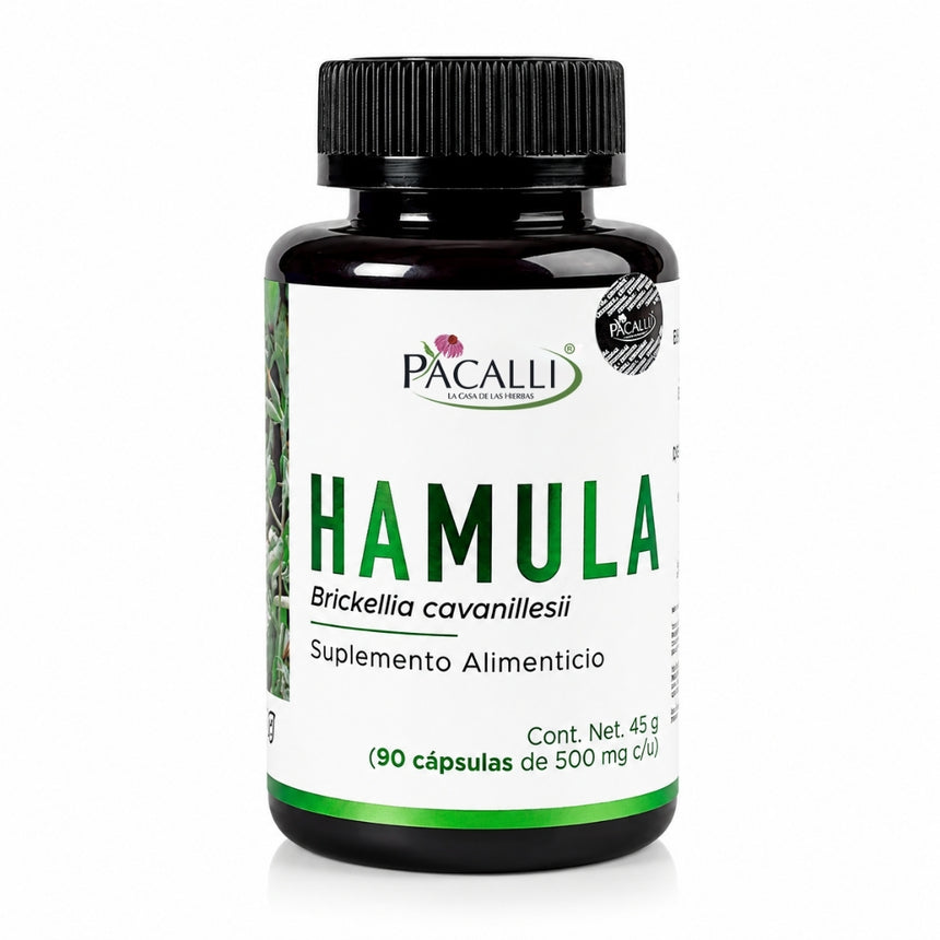 Hamula | Prodigiosa en extracto seco | 500 mg · 90 caps