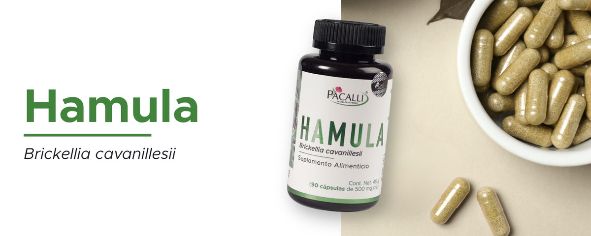 Hamula · 90 caps