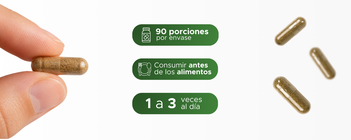 Hamula | Prodigiosa en extracto seco | 500 mg · 90 caps
