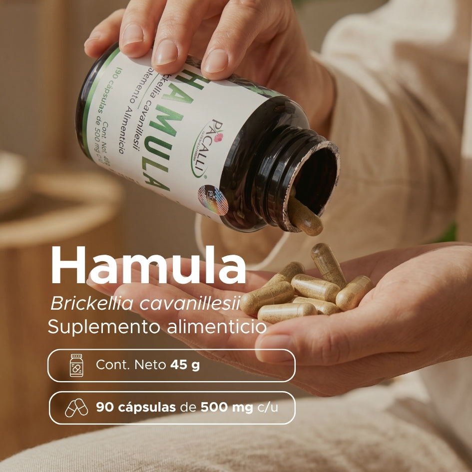 Hamula · 90 caps