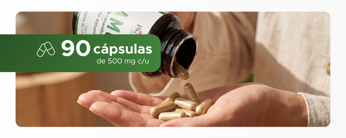 Hamula | Prodigiosa en extracto seco | 500 mg · 90 caps