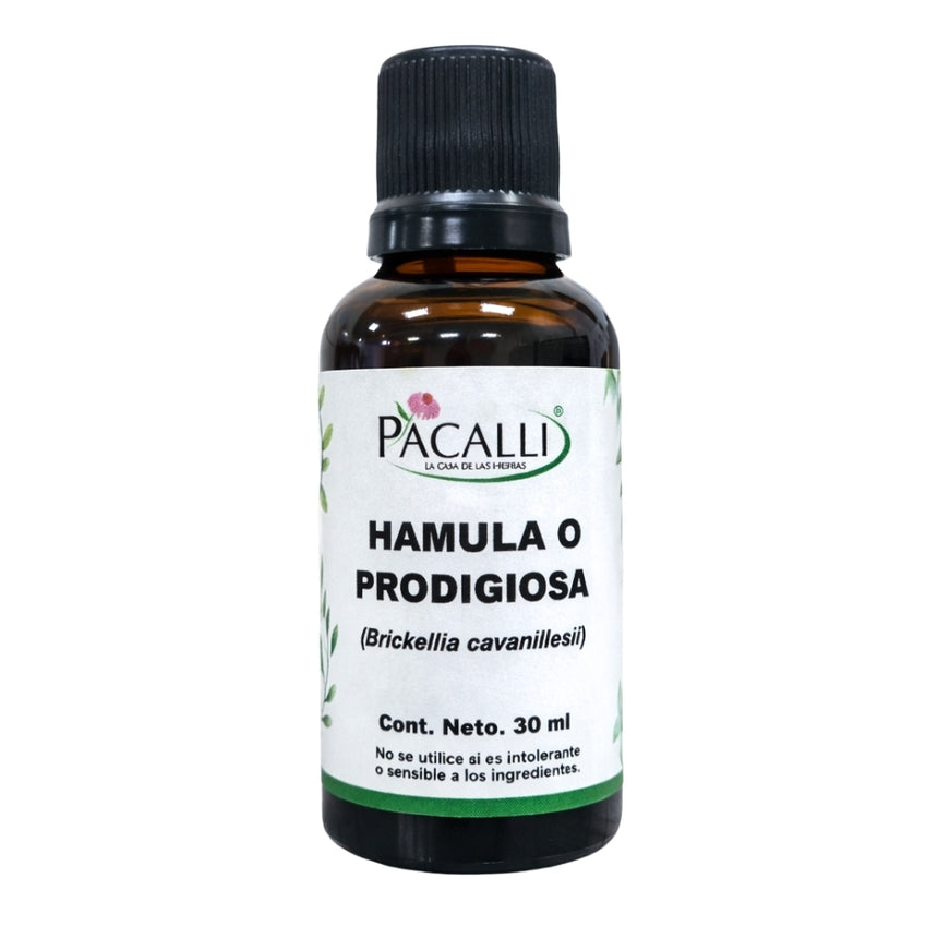 Hamula o Prodigiosa Extracto · 30 ml