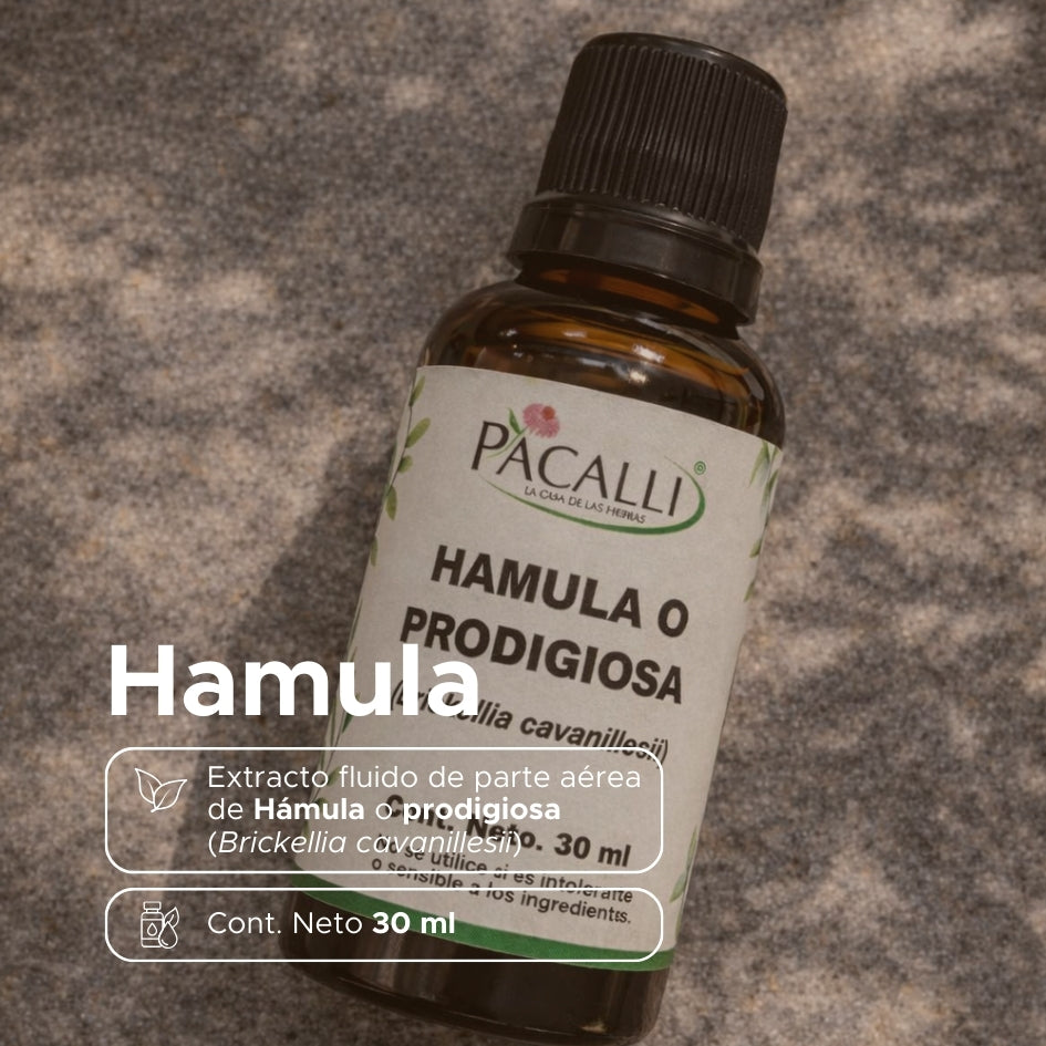 Hamula o Prodigiosa Extracto · 30 ml