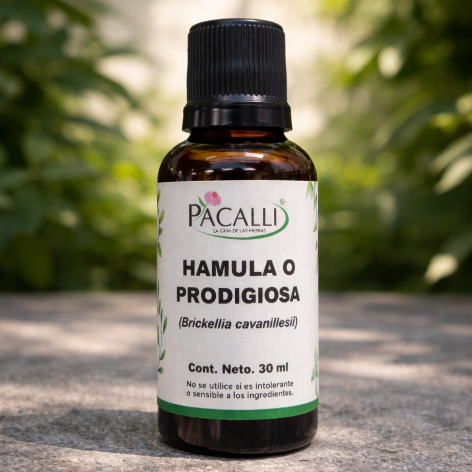 Hamula o Prodigiosa Extracto · 30 ml