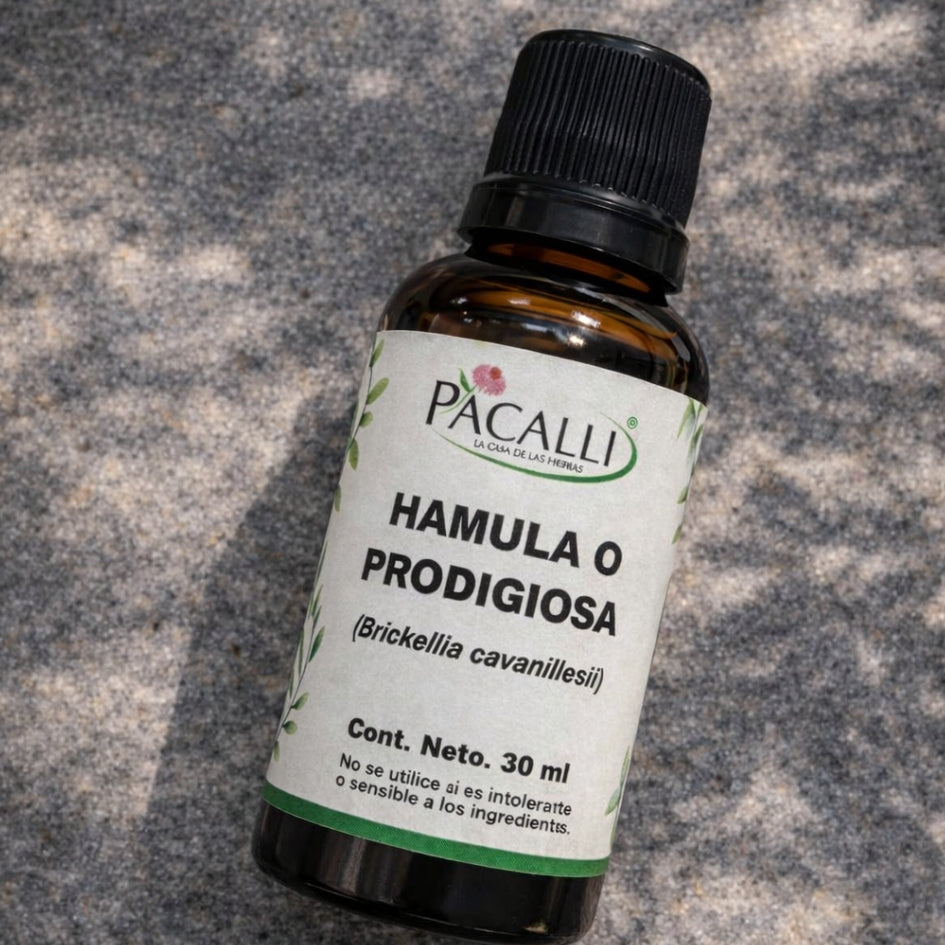Hamula o Prodigiosa Extracto · 30 ml